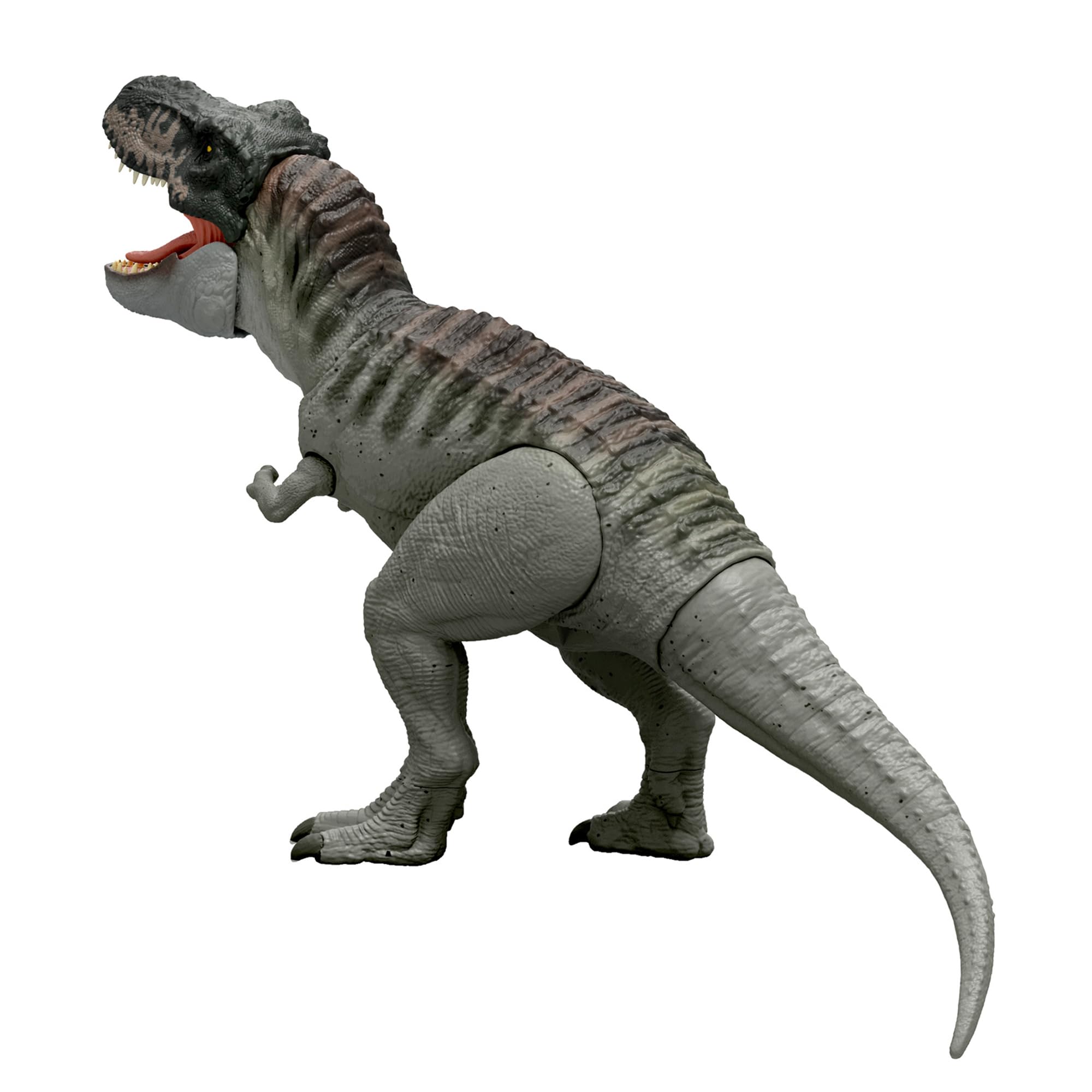 Amazon.co.jp: ユニバーサル: おもちゃ